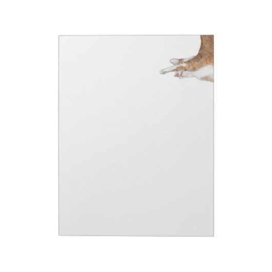 Afspeelbare oranje en witte tabby notitieblok (Linkerzijde)