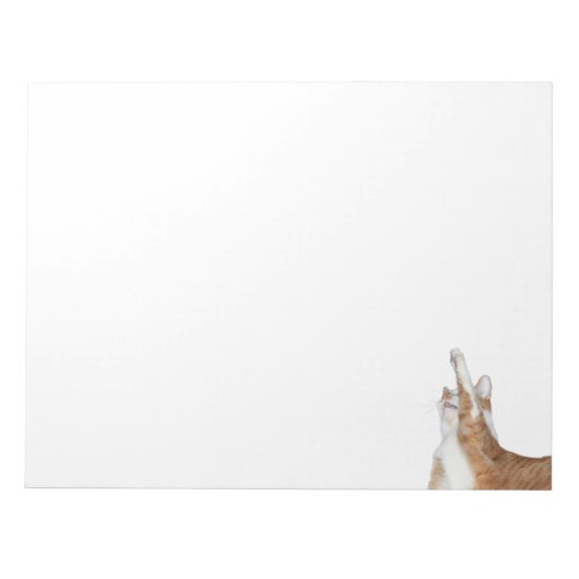 Afspeelbare oranje en witte tabby notitieblok (Voorkant)