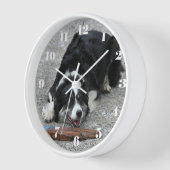 Afspeelbare rand Collie Sheep Dog (Hoek)