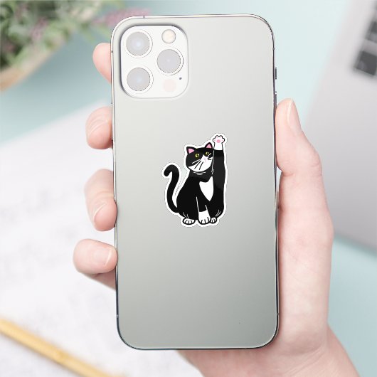Afspeelkat Sticker (Telefoon)