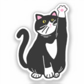 Afspeelkat Sticker (Voorkant)