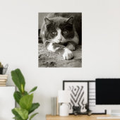 Afspeelkat zwart-wit poster (Thuiskantoor)