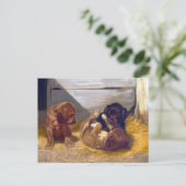 afspeelPuppies Briefkaart (Staand voorkant)