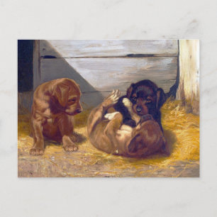  afspeelPuppies Briefkaart