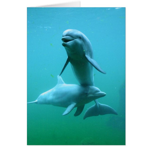 Afspeeltijd (Voorkant)