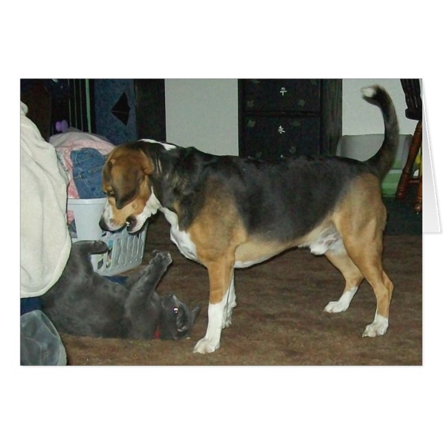 Afspeeltijd - Beagle Dog en Russische blauwe kat (Voorkant Horizontaal)