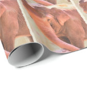 Afspeeltijd voor olifant omslagpapier cadeaupapier (Rol Hoek)