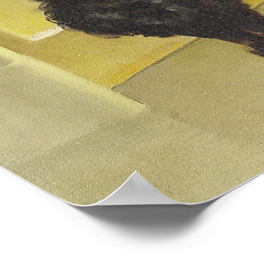 Afspelen Poster (Hoek)