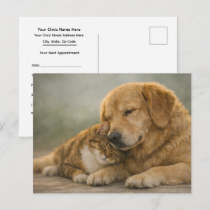 Afspraakherinnering Knuffelen met kat & hond Diere Briefkaart