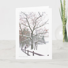 Afspraken in Natuur: Groetgrootte