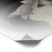 AFSPRAKEN VAN DAFFODILEN POSTER (Hoek)