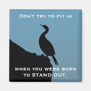 Afstand Cormorant Magneet