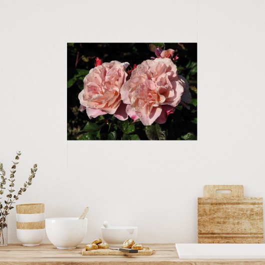 Afstandsschepen Roos 142 Poster (Keuken)