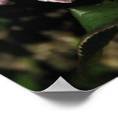 Afstandsschepen Roos 142 Poster (Hoek)