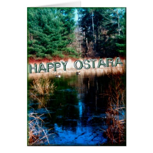 Afstandszwemmers (Voorkant)