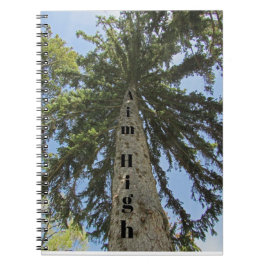Afstudeer Doel Hoge Dennenboom Foto Inspirerend Notitieboek