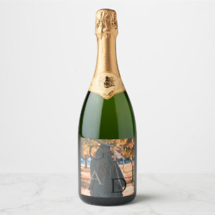 Afstudeerder Foto Afstuderen Mousserende Wijn Labe Sparkling Wijnetiket