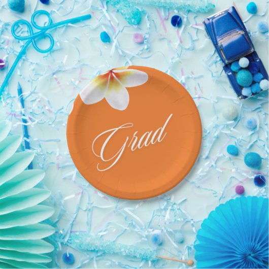 afstudeerder partyballon papieren bordje (Feest)