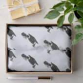 Afstudeerder Pet Diploma (zwart) Afstuderen Tissuepapier (Geschenk)