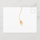 Afstudeerder Pet Foto Afstuderen Uitnodiging (Achterkant)