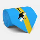 Afstudeerder Pet kantelen w / school kleuren lt bl Stropdas (Opgerold)