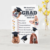 Afstudeerder van de bende feliciteert honden met p kaart (Gele Bloem)