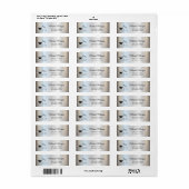 Afstudeerhoed Zilver Retouradreslabel Etiket (Full Sheet)