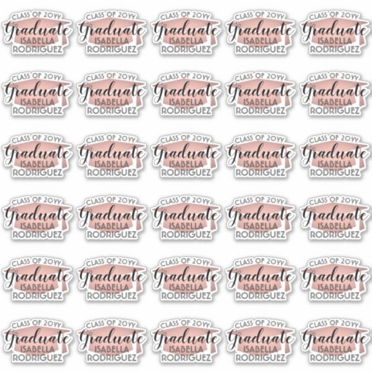 Afstudeerscript Pink Roze Goud & Zwarte Stickers (Voorkant)