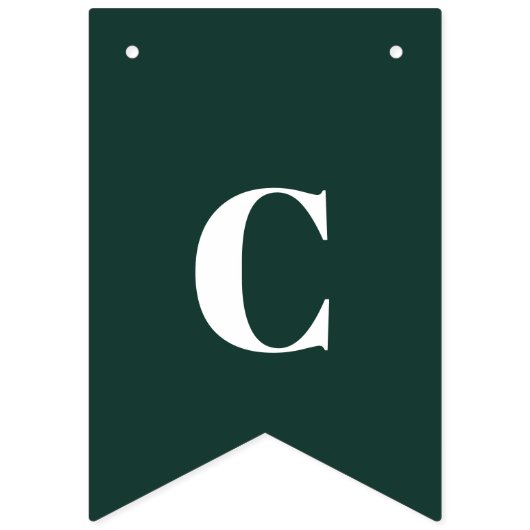 Afstuderen 2024 Foto Afstudeerder Party Vlaggetjes (Tweede vlag)