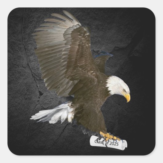 Afstuderen 2025 Bald Eagle met Diploma Vierkante Sticker (Voorkant)