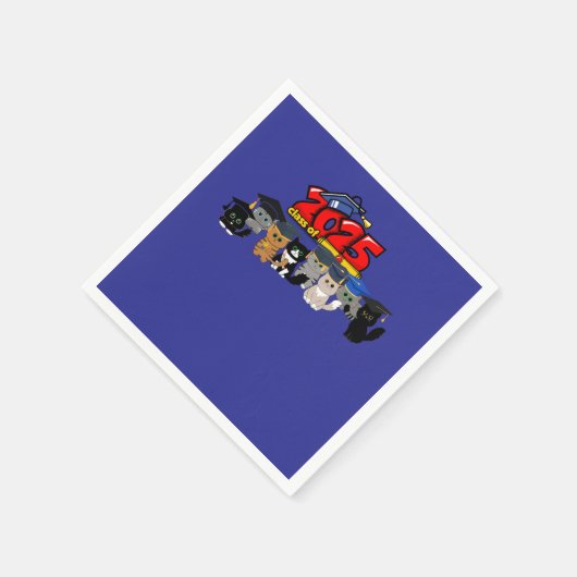 afstuderen 2025 servet (Hoek)