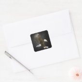 Afstuderen 2026 Witkoparend met diploma Vierkante Sticker (Envelop)