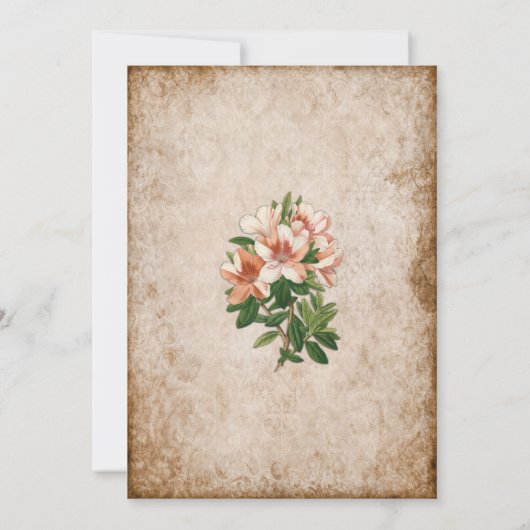  Afstuderen Abrikozen Lilies Kaart (Achterkant)