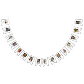 Afstuderen Achievements Grade Niveaus Foto's Moder Vlaggetjes (Alle)