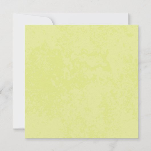 Afstuderen BBQ Uitnodiging (Achterkant)