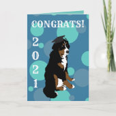 Afstuderen Bernese Mountain Dog Kaart (Voorkant)
