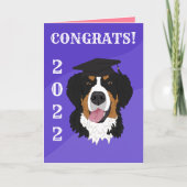 Afstuderen Bernese Mountain Dog Kaart (Voorkant)