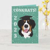 Afstuderen Bernese Mountain Dog Kaart (Gele Bloem)