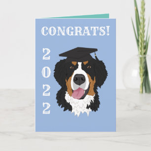Afstuderen Bernese Mountain Dog Kaart