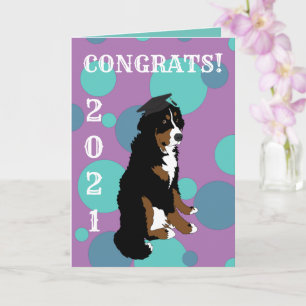 Afstuderen Bernese Mountain Dog Kaart