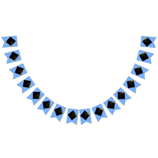 Afstuderen blauw vlaggetjes (Alle)