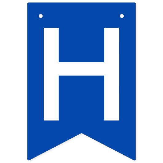 Afstuderen Blauw Wit Schoolnaam Vlaggetjes (Eerste vlag)