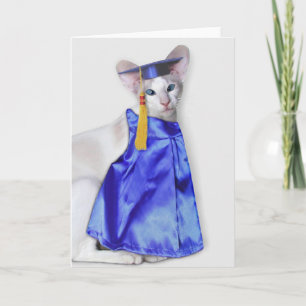 Afstuderen Cat Wenskaart Kaart