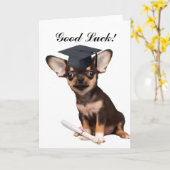 Afstuderen Chihuahua dog Kaart (Gele Bloem)