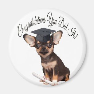 Afstuderen Chihuahua dog magnet