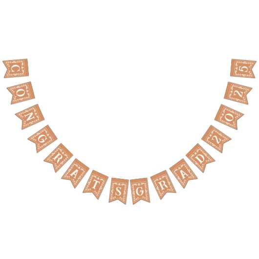 Afstuderen Congrats Afstudeerder 2025 Bunting Bann Vlaggetjes (Alle)