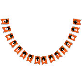 Afstuderen Congrats Oranje Vlaggetjes (Alle)