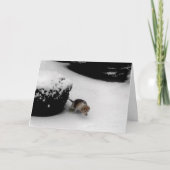 AFSTUDEREN CONGRATULATIONS KAART (Voorkant)