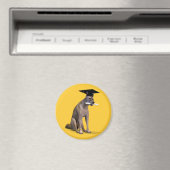 Afstuderen Coyote Magneet (Insitu (Vaatwasser))