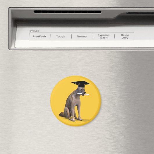 Afstuderen Coyote Magneet (Insitu (Vaatwasser))